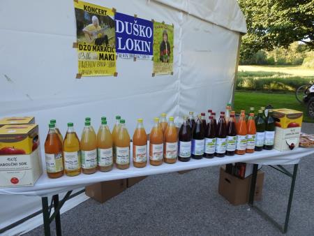 Pomlad v prleških goricah 2017 63